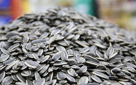 full automatic sunflower seeds production line with best price