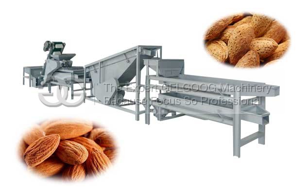 Almond Shelling and Separator Machine