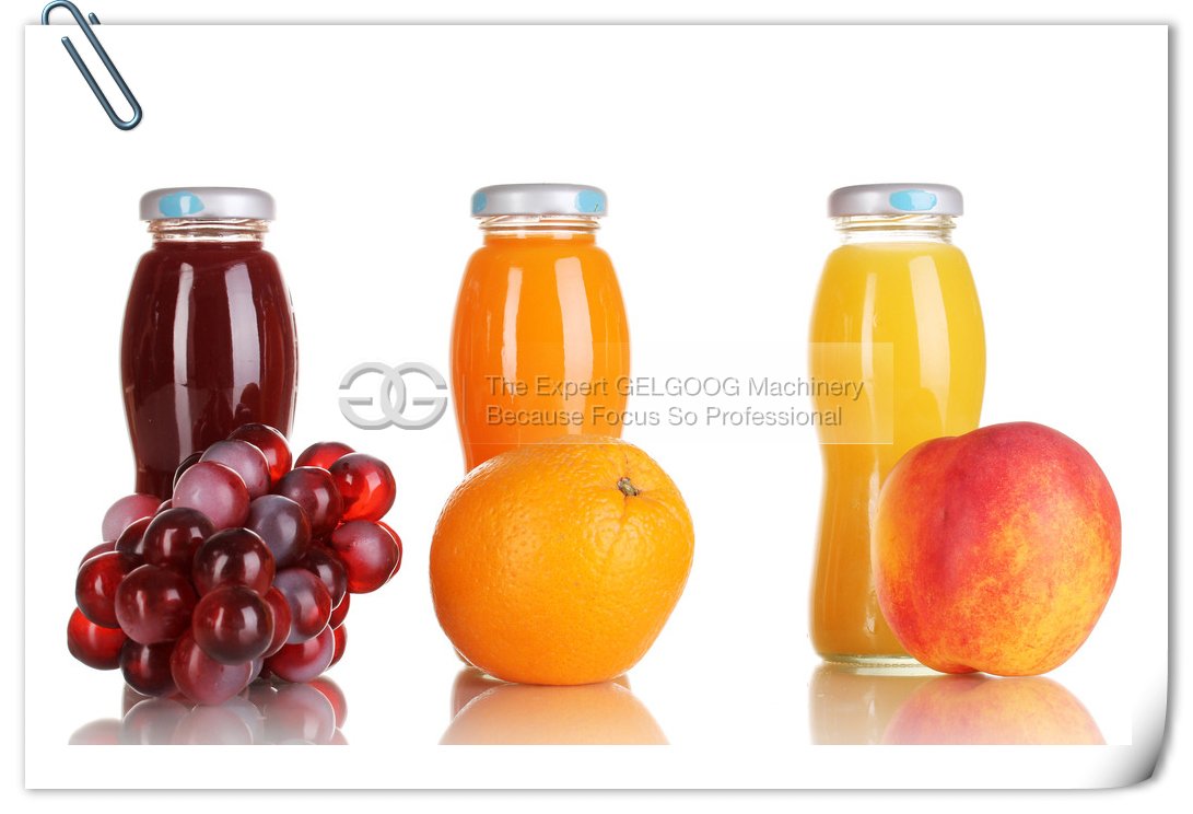 commercial fruit juice production line with low price