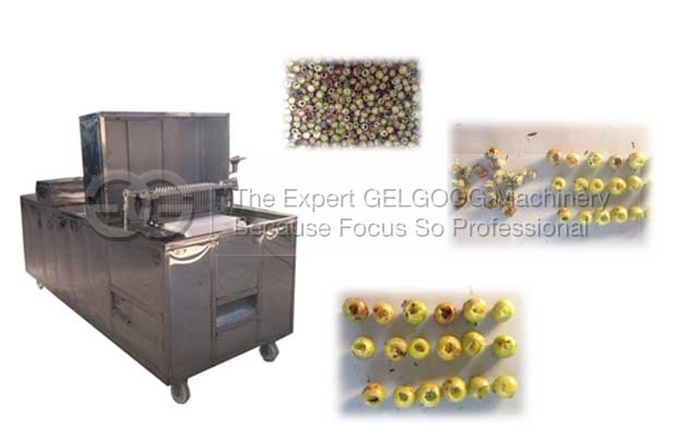 emblica kernel removal machine with low price