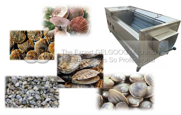 seafood washing machine for fresh oyster,clam,scallop