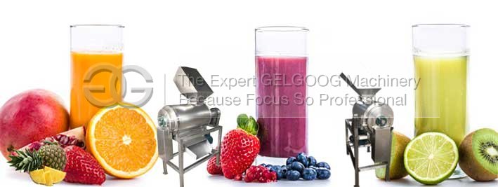 fruit vgeteable juice pulp machine manufacturer with low price