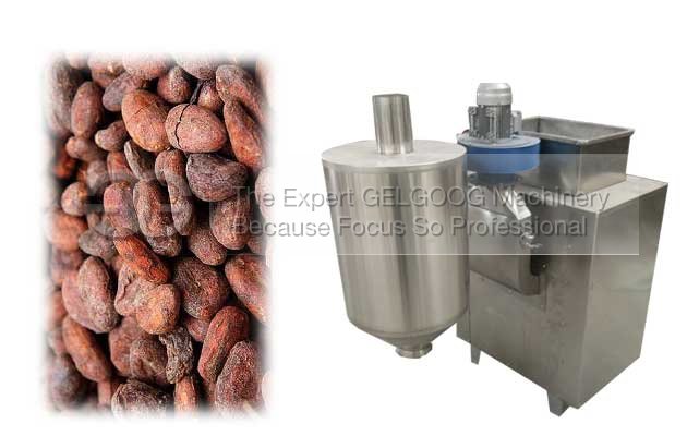 cocoa bean process machine|cocoa bean peeling machine with low price