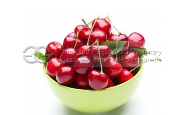cherry seed removal machine