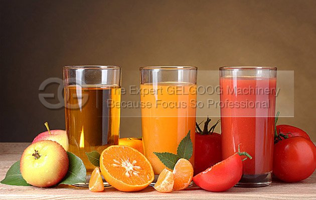 fruit juice extractor machine with high extracting rate