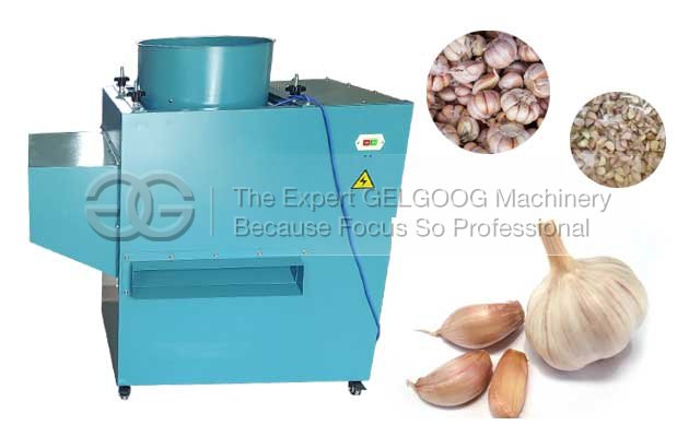 Garlic Separating Machine|Garlic Process Machine