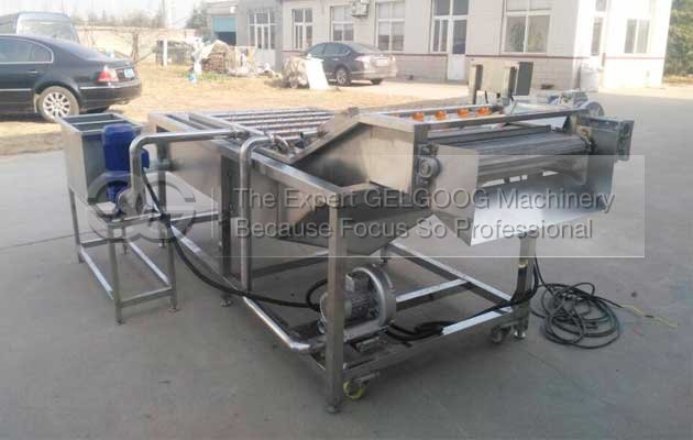 commerical vegetable washing and air drying machine with high quality 
