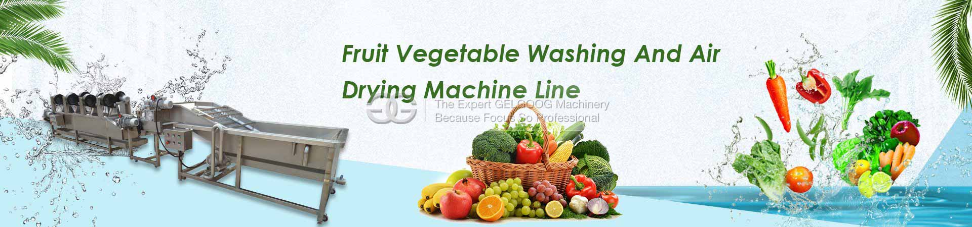 Fruit Vegetable washing and Air Drying machine 