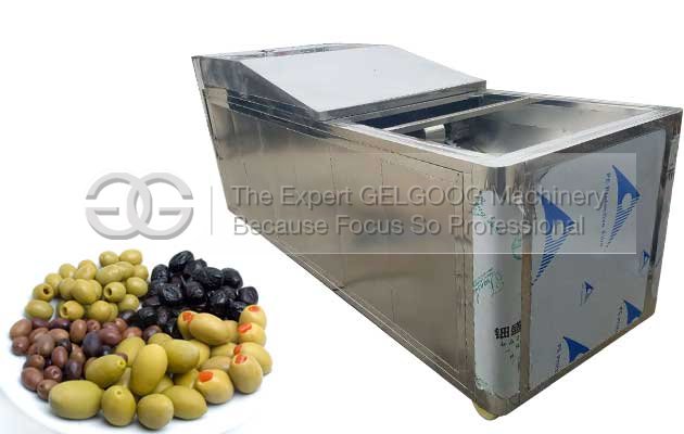 automatic olive pitting machine for sale