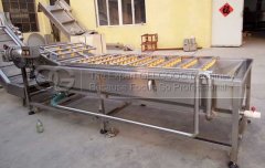 Commercial Vegetable washing machine to England