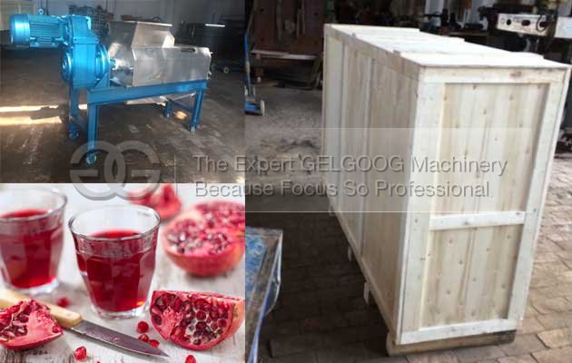 pomegranate juice extractor making machine malaysia with high quality