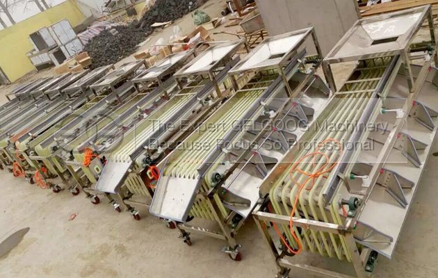 dates sorting machine for sale 