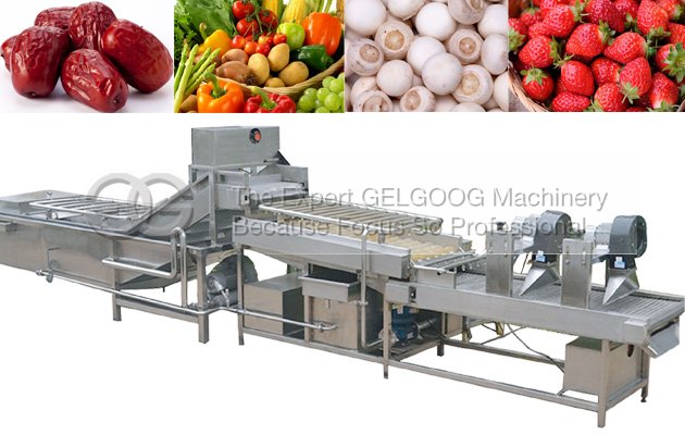 industrial fruit and vegetable washing machine for sale