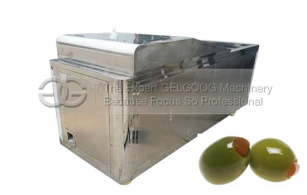 autoamtic olive pitting machine for sale