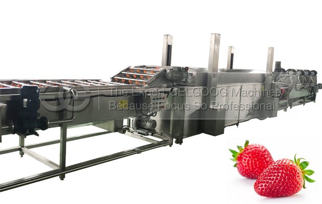 Fruit washing and Drying machine Supplier