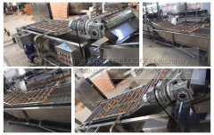 Fruit and Vegetable Washer machine 