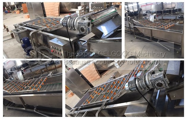 commercial fruit and vegetable washer machine line for sale