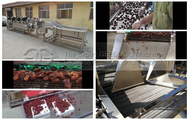 Dates Cleaning And Drying Proces Line Commercial Use