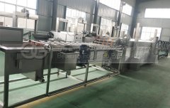 Leaf washing And Drying Line For Sale