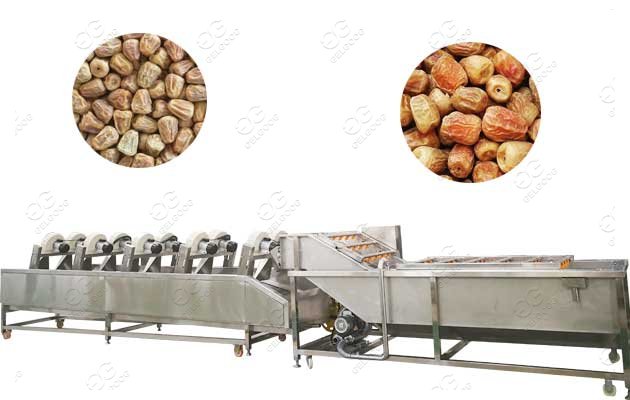 <b>Date Washing Drying Machine Line|Date Palm Cleaner Line|Jujube Cleaning Line</b>