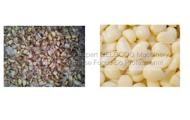 automatic garlic peeling machine with best price made in china