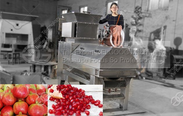 pomegranate peeling machine|pomegranate seed seperate machine|pomegranate juice machine