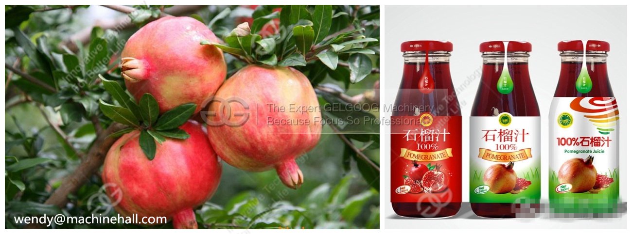 pomegranate processing machine in china with low price