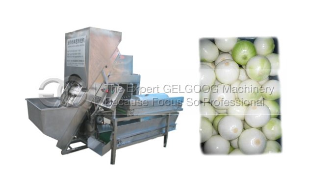 onion peeling machine|onion peeler machine|onion processing machine