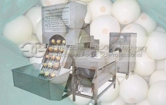 onion process machine