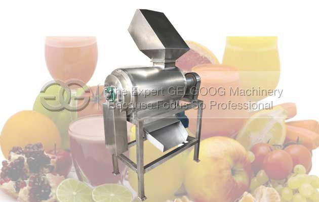 fruit pulp maachine manufacturer