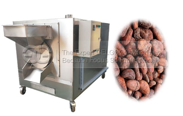 cocoa bean roasting machine manufacturer for sale