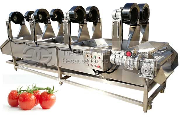 tomato de-water machine|tomato air drying machine