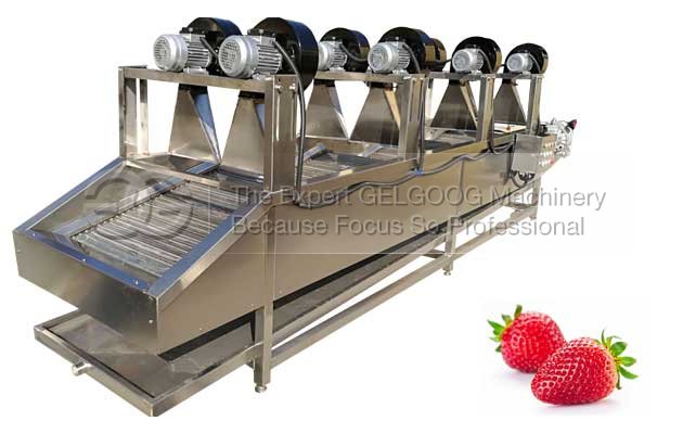 Strawberry dewater machine|Strawberry air drying machine