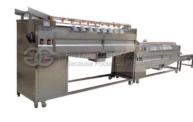 automatic commerical ginger washing line price