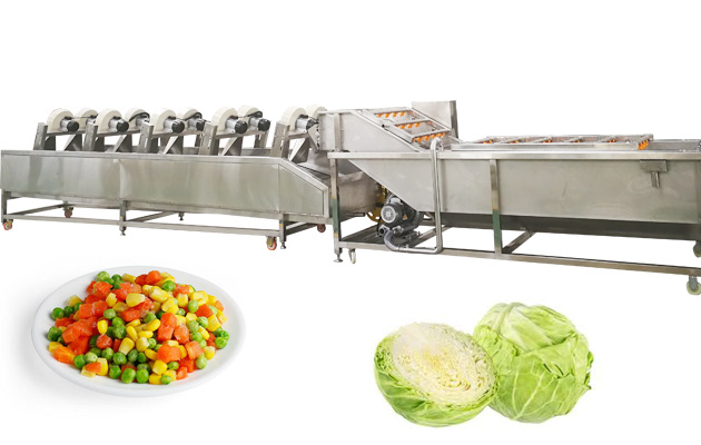 vegetable salad processing line