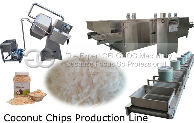 coconut chips production line