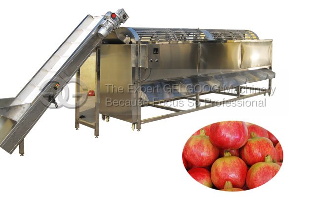 pomegranate sorting machine