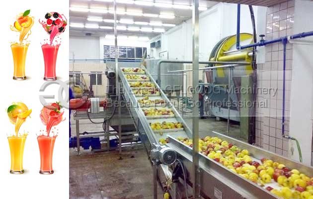 fruit juice processing plant cost in India