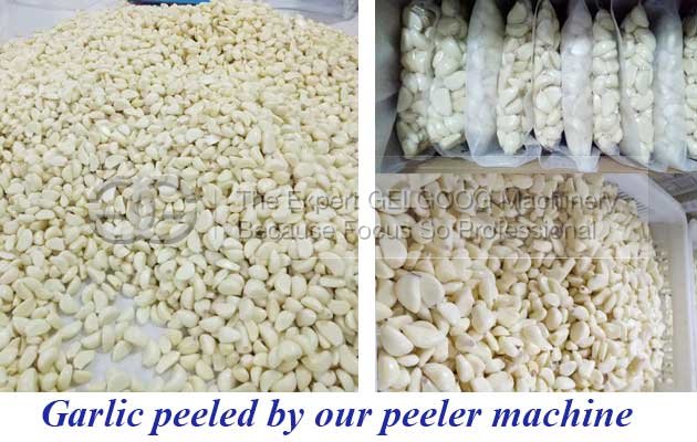 garlic peeled by garlic peeling machine