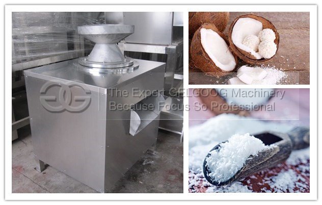 coconut meat grinding machine manufacturer in China iwth best price machine detail show 