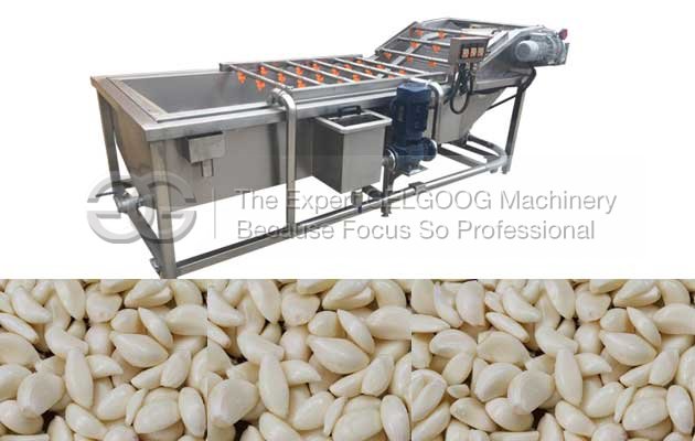 Garlic washing machine for sale garlic power machine
