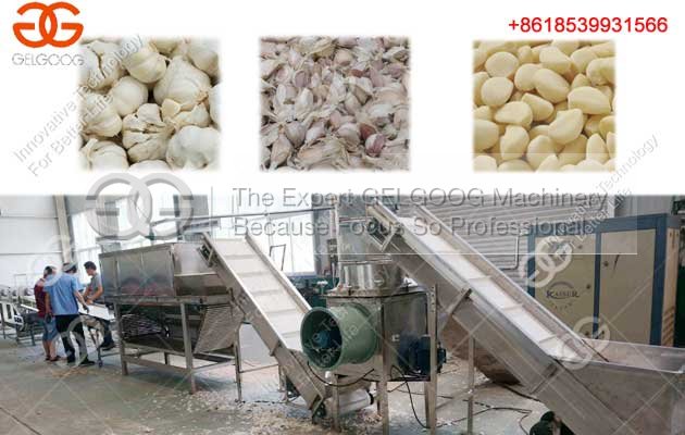 garlic peeling machine