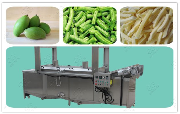 industrial fruit blanching and sterilizer Machine
