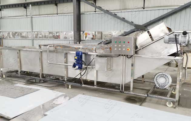 commercial vegetable washing machine manufacturers in india