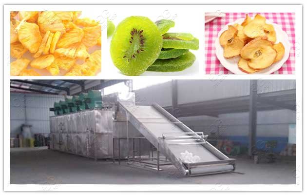 machine for drying fruit and vegetables