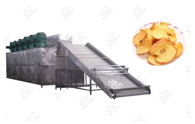 fruit drying machine in south africa