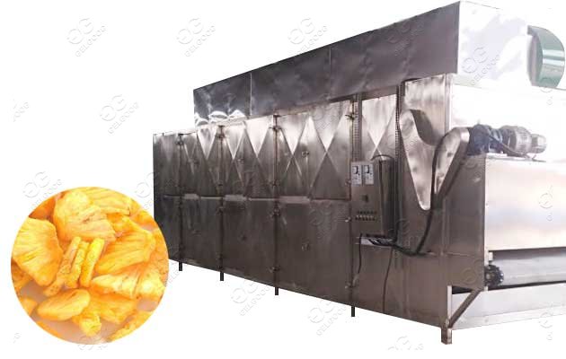fruit drying machine available in cambodia