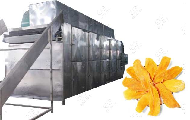 dried fruit processing equipment