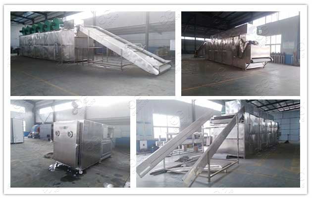 fruit drying machine price in south africa