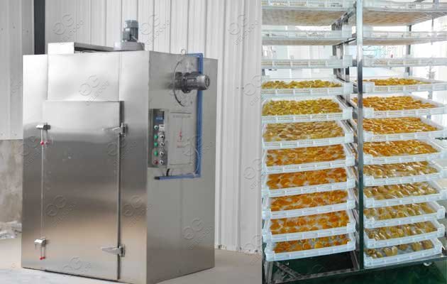 Industrial Mango Fruit Drying Machine South Africa